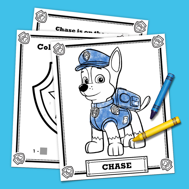 Chase Activity Pack