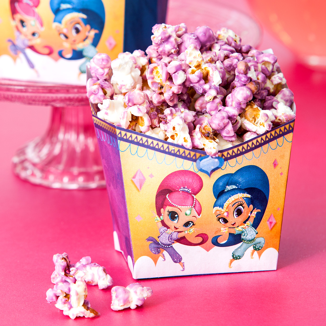 Shimmer and Shine Sleepover Party