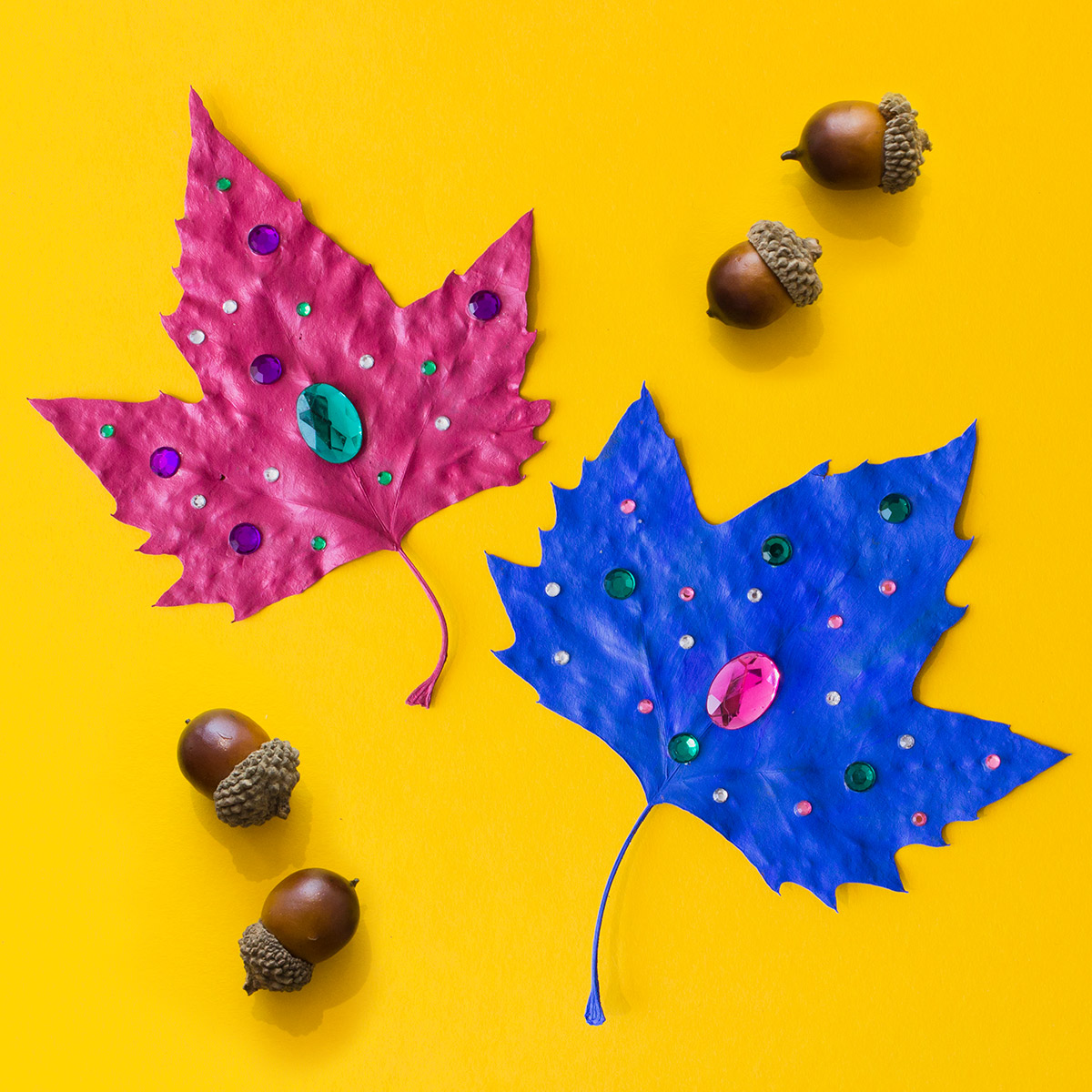 Shimmer and Shine Leave Craft