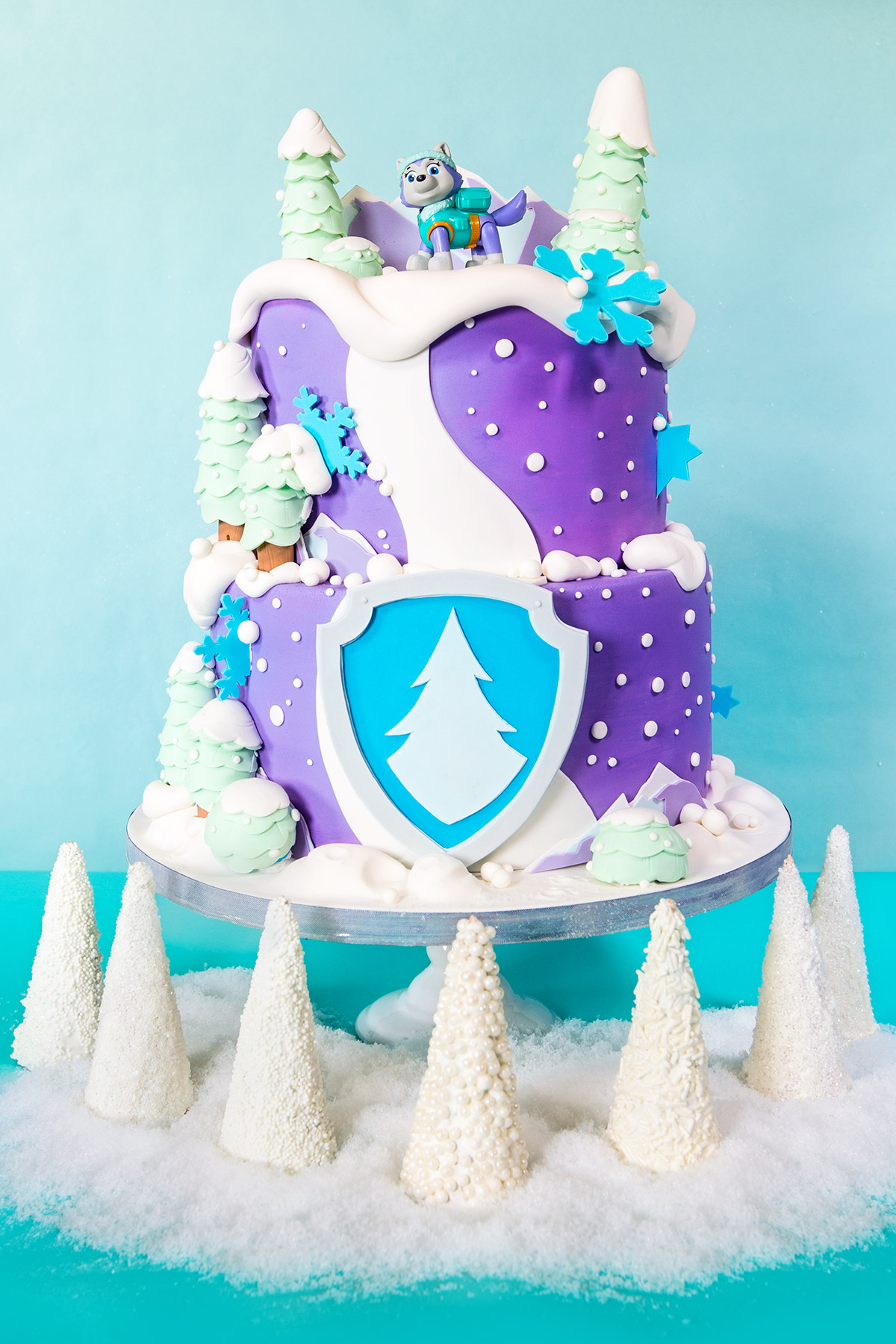 Everest Winter Wonderland Birthday Cake