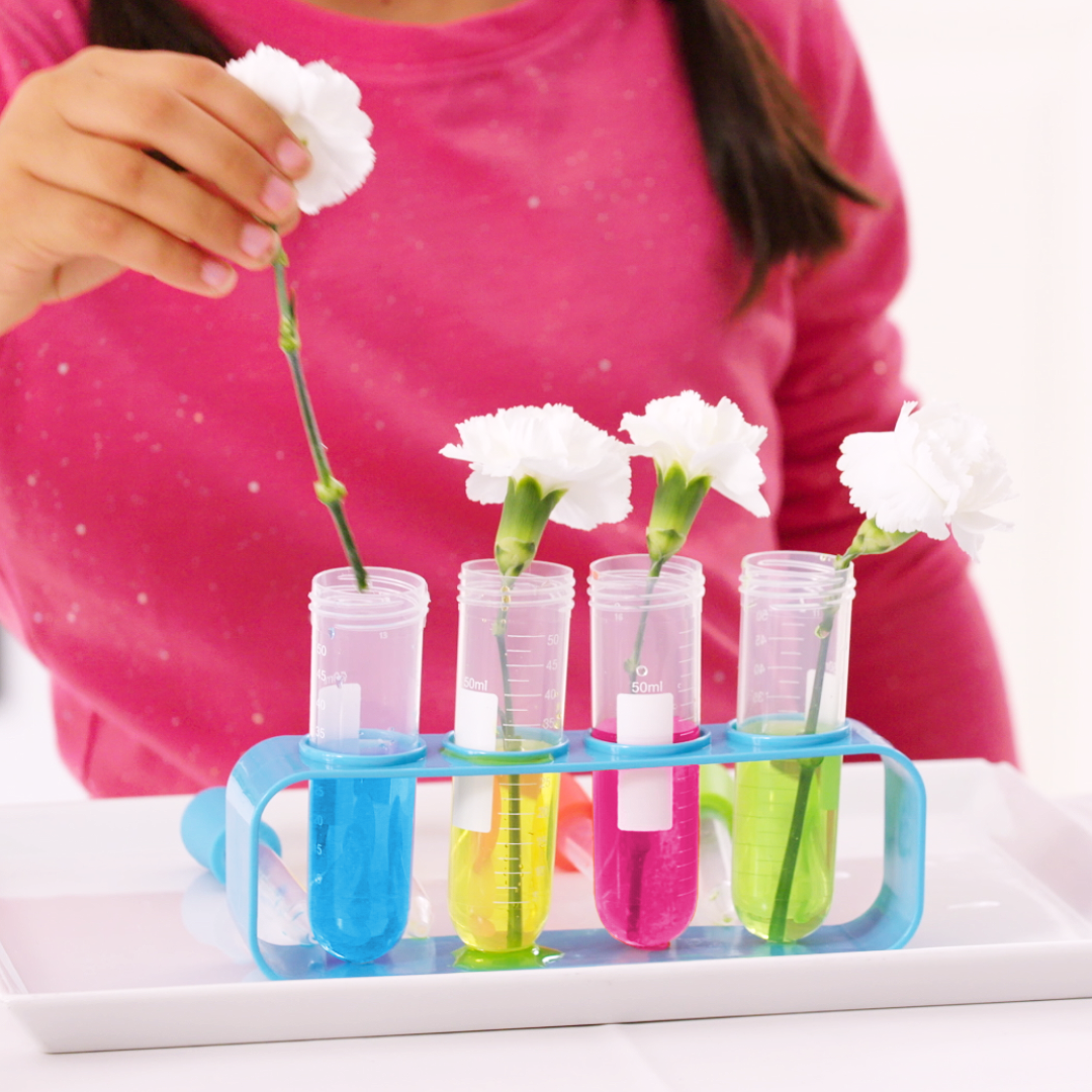 Nick Jr. Coloring Changing Flower Experiment