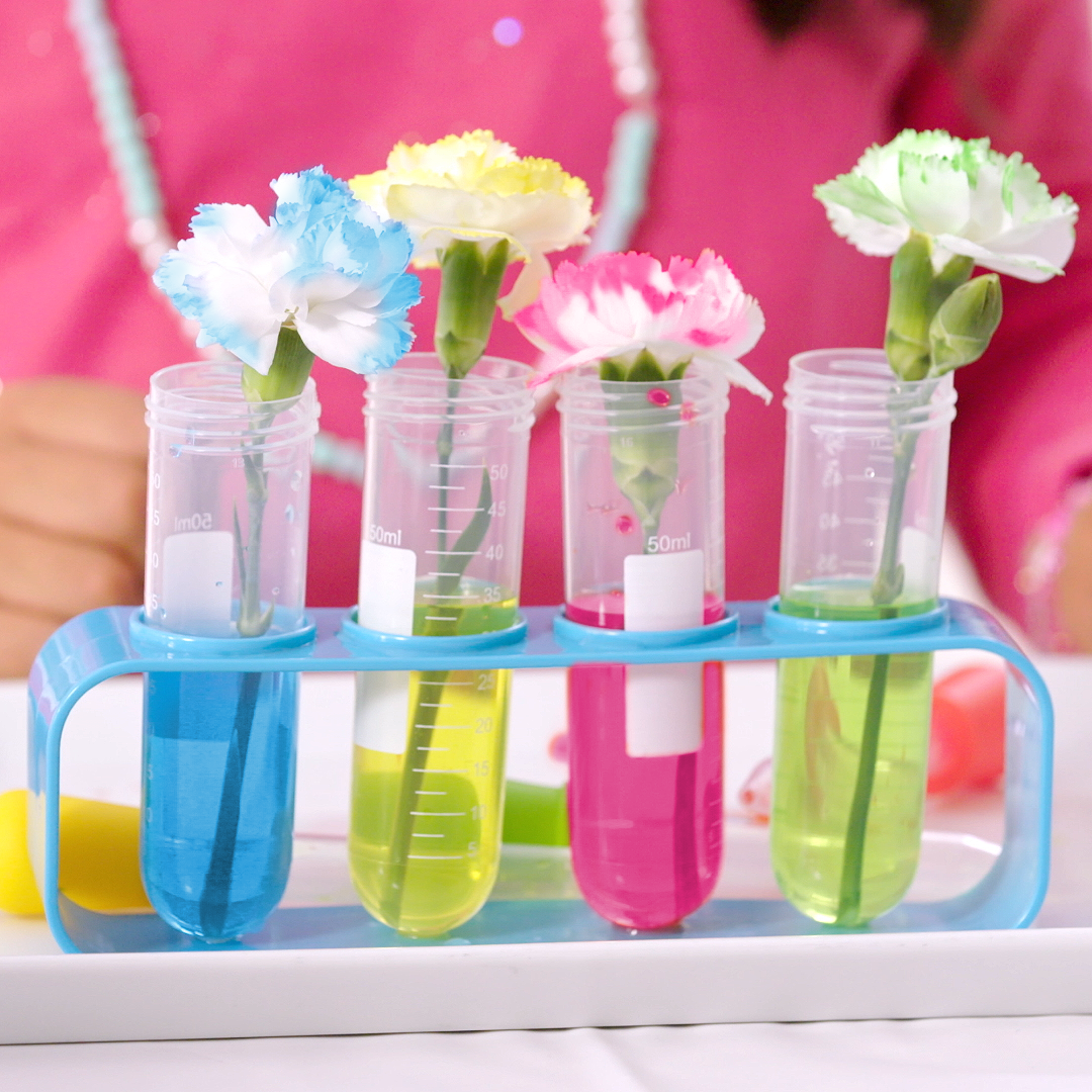 Nick Jr. Coloring Changing Flower Experiment