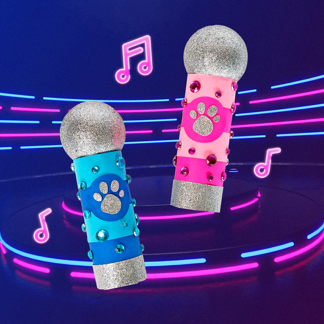 Blues Clues & You! Make Your Own Mic