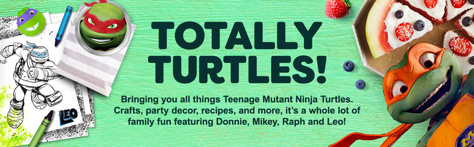 Teenage Mutant Ninja Turtles Birthday Party