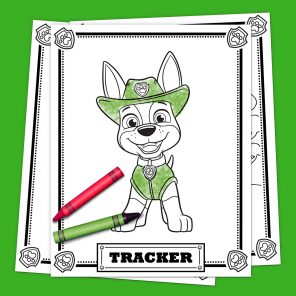 Meet Tracker Pack