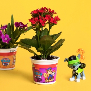 PAW Patrol Yogurt Cup Flower Pot