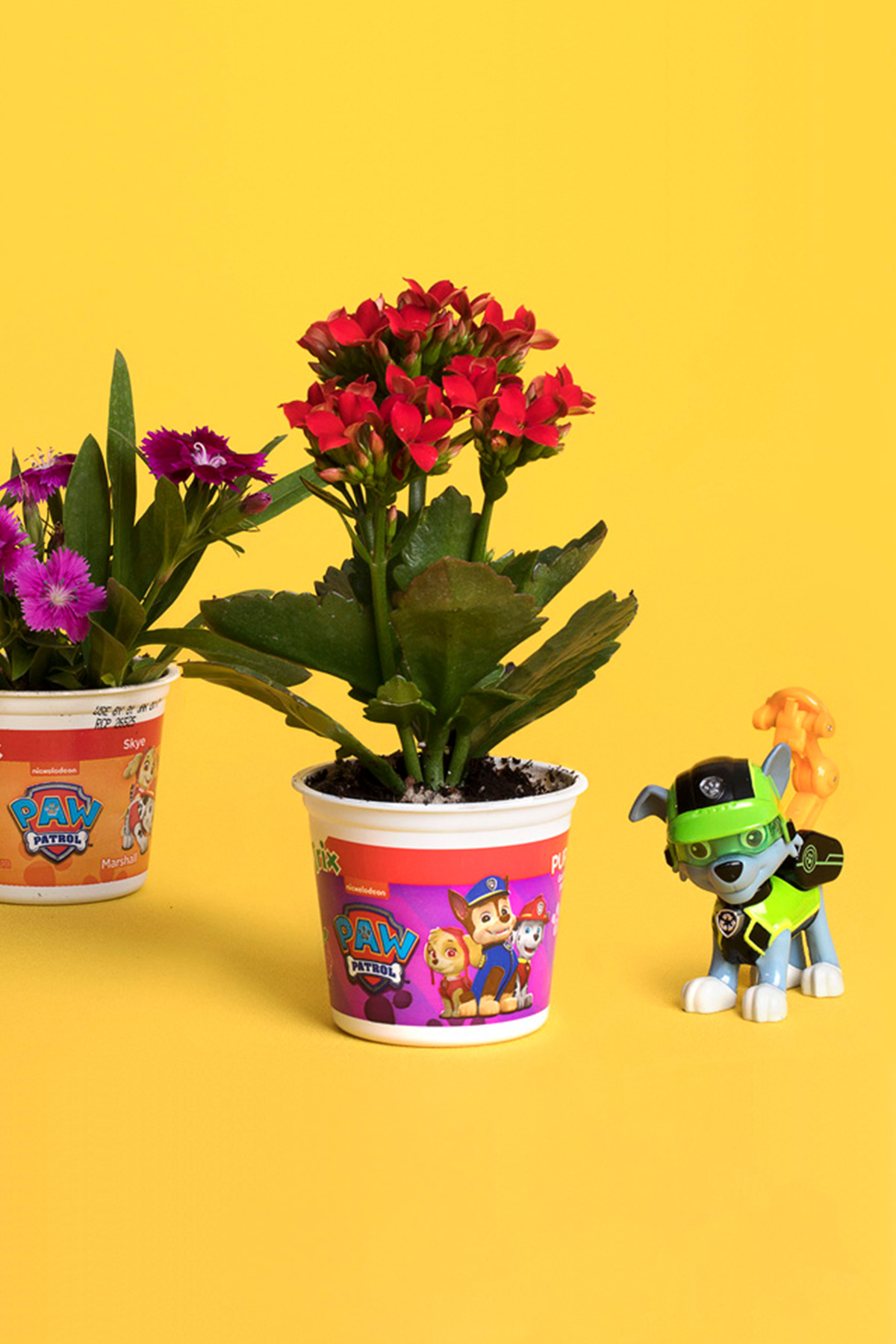 PAW Patrol Yogurt Cup Flower Pot