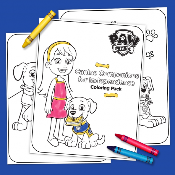 Nick Jr Parents Paw Patrol Printables Images and Photos finder
