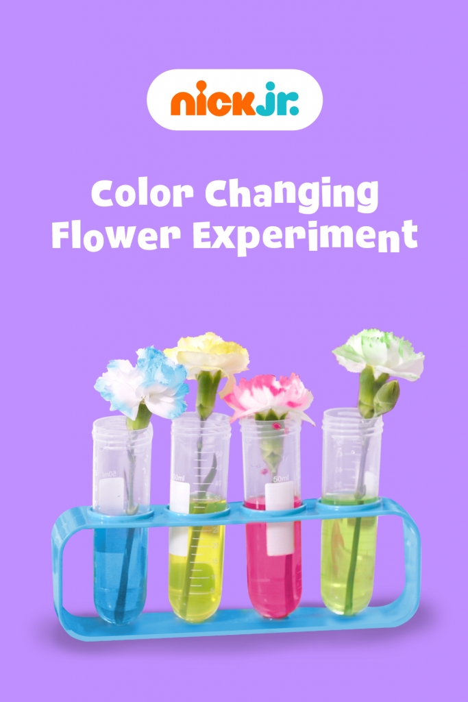 The Simple, Magical ColorChanging Carnation Experiment Nickelodeon Parents