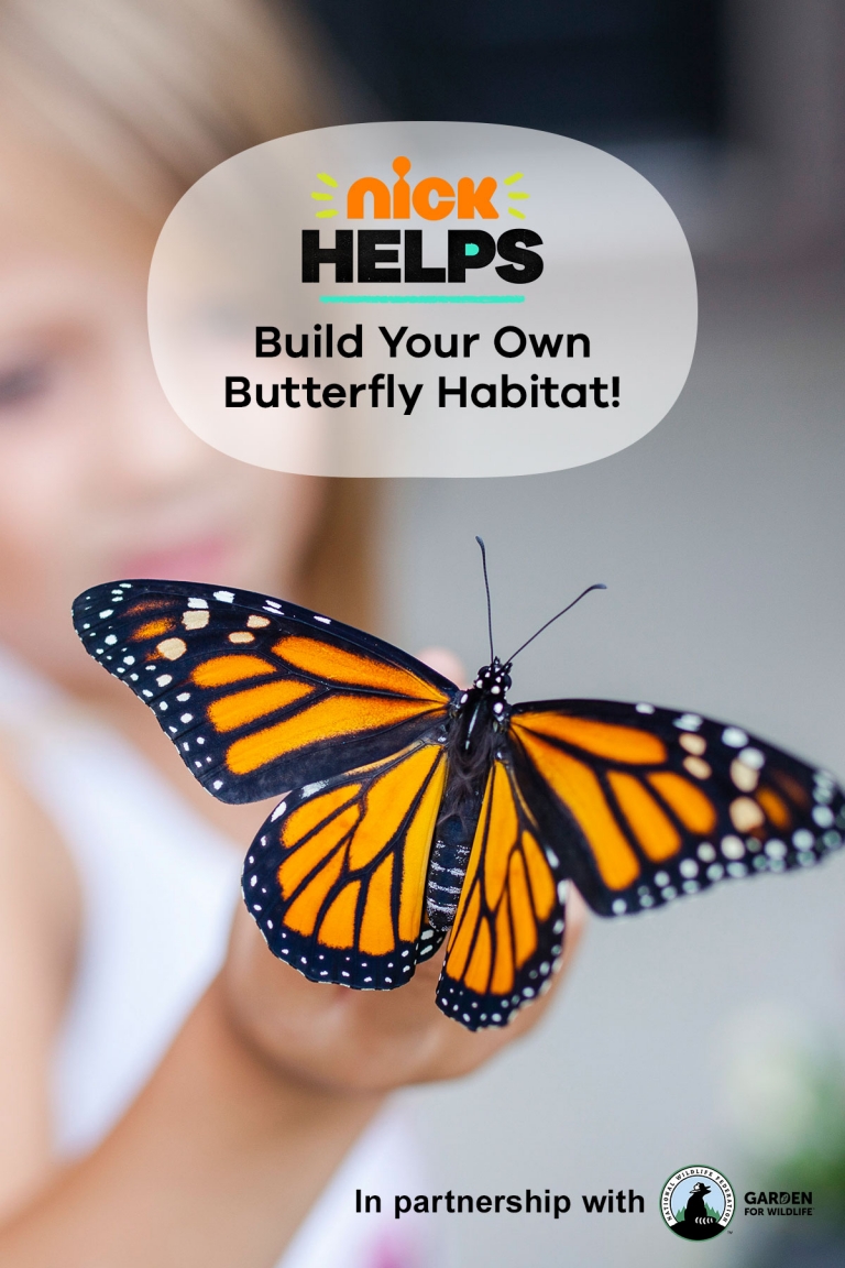 Build Your Own Butterfly Habitat | Nickelodeon Parents